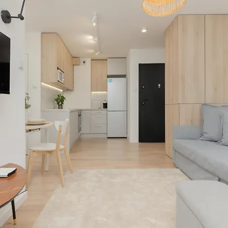 Modern Glow With Swimming Pool By Renters 公寓 克拉科夫